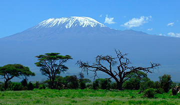 Kilimangiaro cafè Gourmet