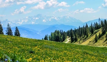 paysage de montagne