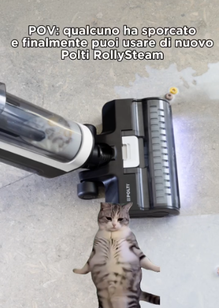 L'immagine mostra polti rollysteam con un gatto