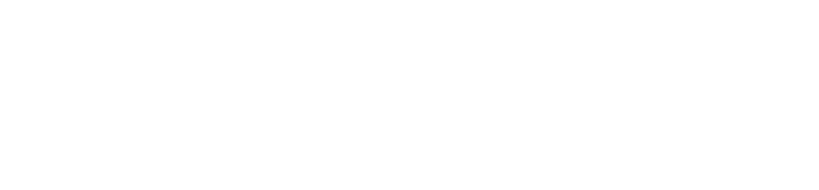 POLTI Spa