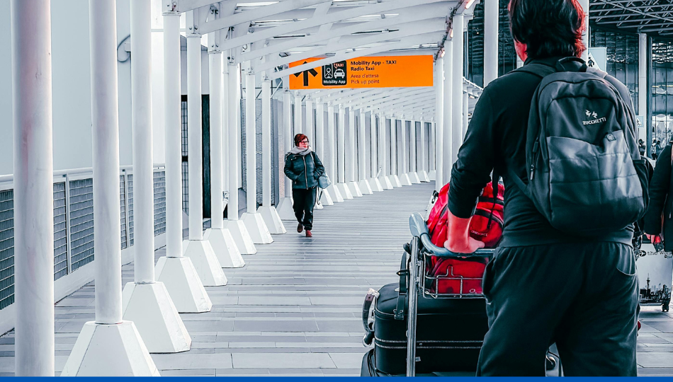 Transport punaises de lit sur l’homme : tout savoir